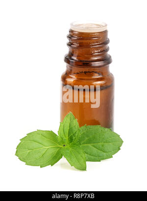 bottle of peppermint oil and fresh mint isolated on white background Stock Photo