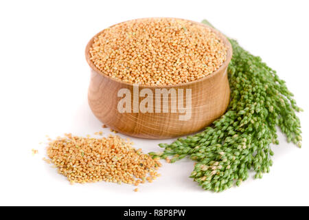 Millet in wooden bowl with green spikelets isolated on white background. Food for parrots Stock Photo