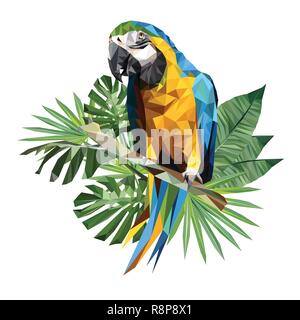 Illustration polygonal drawing of blue and gold macaw bird with tropical leaf. Stock Vector