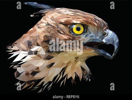 Illustration polygonal drawing  Head focus of the Changeable Hawk Eagle. Stock Vector