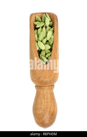 Green cardamom seeds in wooden scoop isolated on white background. Top view. lay flat Stock Photo