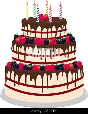 Three-tiered wedding or birthday cake in chocolate, decorated with paspberries and blueberries isolated on a white background. Vector illustration for a menu or a confectionery catalog Stock Vector