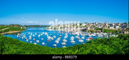 France, Finistere, Le Conquet, fishing port in the marine natural park of Iroise Stock Photo