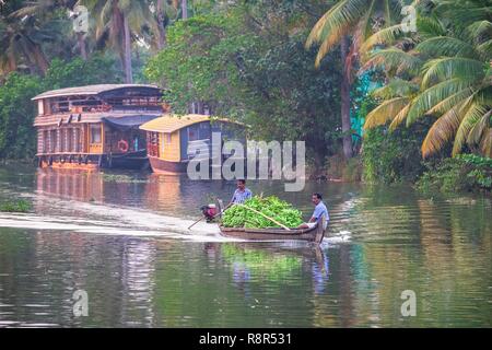 India, state of Kerala, Kumarakom, village set in the backdrop of the Vembanad Lake, cruise on the backwaters (lagoons and channels networks) with a kettuvallam (traditional house boat) and banana transport Stock Photo