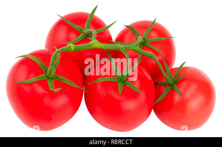 Tomato. Tomato branch. Tomatoes isolated on white. With clipping path. Stock Photo