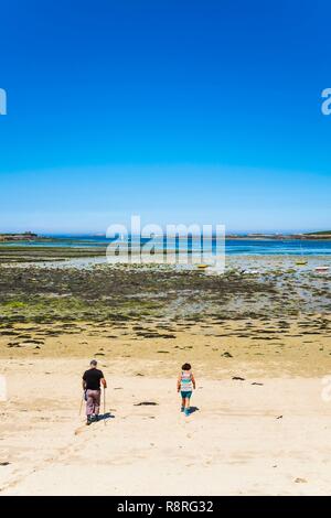 France, Finistère (29), Pays des Abers, Côte des Legendes, l'Aber Wrac'h, fishing by foot at low tide Stock Photo