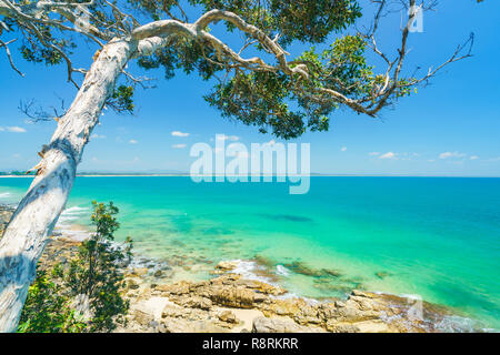 Noosa National Park on a perfect day with blue water and pandanus palms Stock Photo