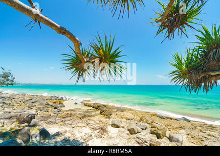 Noosa National Park on a perfect day with blue water and pandanus palms Stock Photo