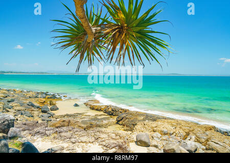 Noosa National Park on a perfect day with blue water and pandanus palms Stock Photo