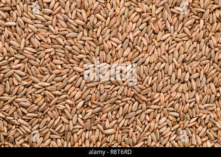 Close up of natural rye grains background Stock Photo