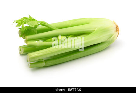 Fresh celery isolated on white Stock Photo