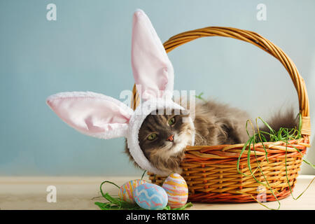 Gray fluffy cat with bunny ears in easter basket with easter eggs Stock Photo