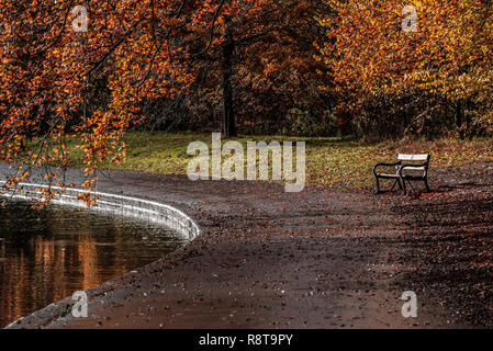 Autumn scene, featuring a bench at Eastville Park (Bristol, United Kingdom) Stock Photo