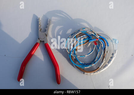 Bird Ringing Tool Bird Ringing Station Tools Set Up Table Stock Photo - Alamy