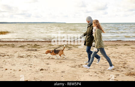 happy couple with beagle dog on autumn beach Stock Photo