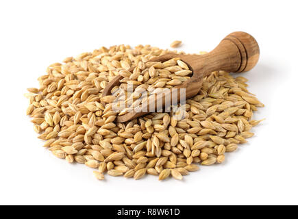 Dry barley seeds and wooden scoop isolated on white Stock Photo