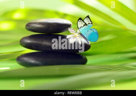 Butterfly, Black and Balanced Stones. Palm Leaf. Zen and Spa Concept. Stock Photo