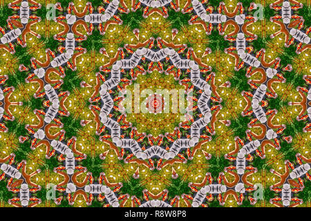 Psychedelic kaleidoscopic illusive symmetrical pattern as background Stock Photo
