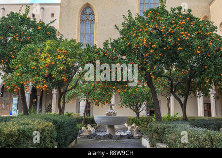 Orange Tree in Courtyard of Complesso Monumentale di Santa Chiara In Naples  Italy Stock Photo