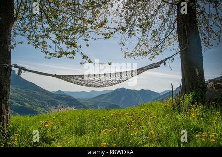 relax in comfortable hammock suspended between the trees Stock Photo