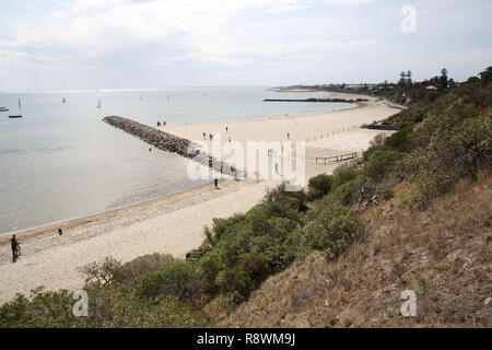 Dog friendly beach, Sandringham Harbour and Hampton Beach, Melbourne, Victoria, Australia Stock Photo