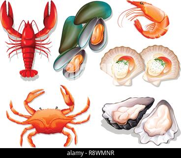 Set of seafood on white background illustration Stock Vector