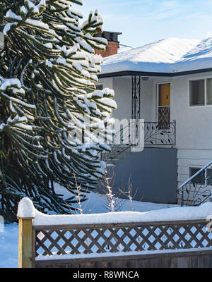 Entrance of residential house with monkey tree in front. Family house in snow on winter season Stock Photo