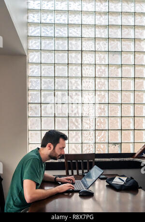 Young bearded man at home working remotely on laptop computer in front of glass block wall Stock Photo