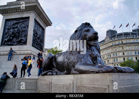 LONDON, UK - SEPTEMBER 8, 2018: sculpture of a lion in Trafalgar Square Stock Photo