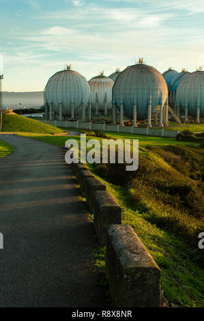 Natural gas tank in the Refinery industry. Stock Photo