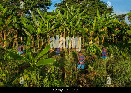 Papua New Guinea, Gulf of Papua, National Capital District, Port Moresby City, Bomana Prison, Female division, prisonners gardening Stock Photo