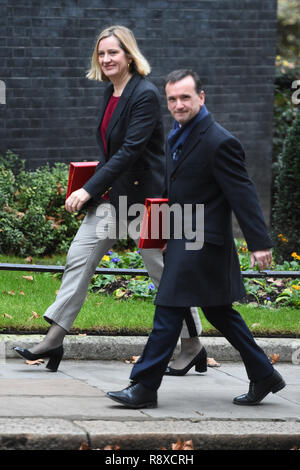 Work and Pensions Secretary Amber Rudd and Wales Secretary Alun Cairns arrives in Downing Street, London, for a meeting of the Cabinet. Stock Photo