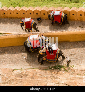 Elephants working at the Amber Fort in Jaipur in Northern India Stock Photo