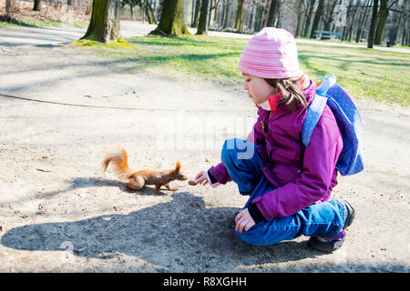 Kid girl feeds squirrel in autumn park. Stock Photo