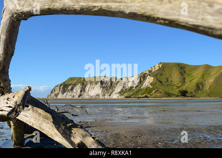 Long and shapely driftwood adds to the cliff landscape in Gisborne, New Zealand Stock Photo