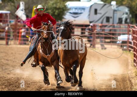 A bareback bronc riding horse is captured after his rider was bucked off at the Cochise College Rodeo at Wren Arena, Fort Huachuca. The event is hosted by the Sierra Vista Riding Club and Cochise College in conjunction with FMWR.  Fort Huachuca Public Affairs Stock Photo