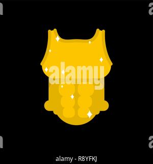 Gold armor knight king. Golden royal armour. medieval Gilded Body panoply    Stock Vector