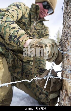 U.S. Marine Corps Cpl. Walter Russell IV with Combat Logistics ...