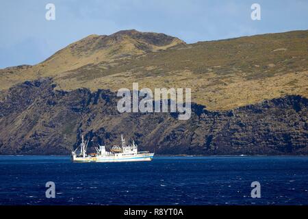 France, Indian Ocean, French Southern and Antarctic Lands, Amsterdam island, the Marion Dufresne (supply ship of French Southern and Antarctic Territories) at anchor in front of the island, Austral lobster fishing boat at anchor in front of the island Stock Photo