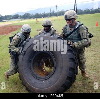 Sgt. Shannon Leftwich, Sgt. Todd Kelly and Sgt. Dylon Dibble, from the 95th Engineer Company (Sapper), 84th Engineer Battalion, flip a 400 pound Heavy Expanded Mobility Tactical Truck tire (HEMTT) during the 'Never Daunted' Best Squad Competition. Stock Photo