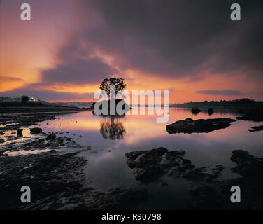 Spain, Asturias, Castropol, shore at low tide in a ria at dusk Stock Photo