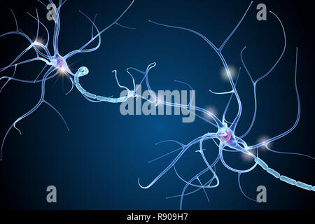 Nerve cell anatomy in details. 3D illustration Stock Photo