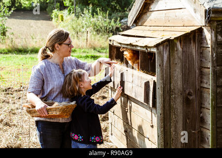 Woman and girl collecting eggs from a chicken house.