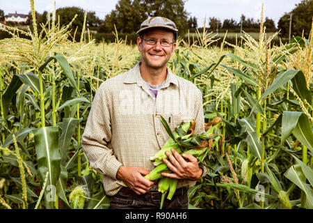 Smiling farmer standing in a corn field, holding bunch of maize cobs. Stock Photo
