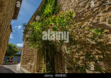 Lourmarin, Provence, Luberon, Vaucluse, France - Mai 30, 2017: A house of quarry stone in Lourmarin in a narrow lane with wildly overgrown roses. Stock Photo