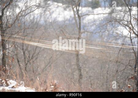 The wire from a TOW missile is seen at firing point 5 on range 19 at Fort McCoy, Wis., on March 14, 2016. The  BGM-71 TOW is a Tube-launched, Optically tracked, Wire-guided  anti-tank missile currently manufactured by Raytheon. Stock Photo