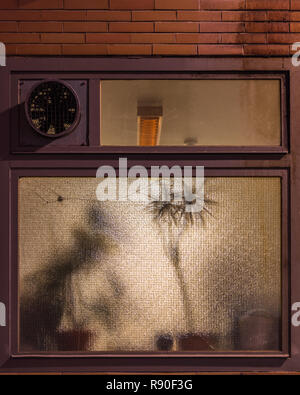 The house plants are hidden behind frosted glass in the evening Stock Photo