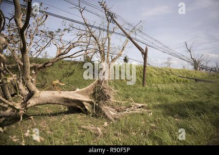 power lines leaning over in the Norfolk Fens Stock Photo - Alamy