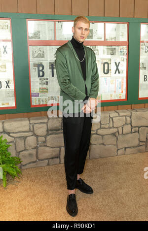 Colson Baker aka Machine Gun Kelly attends the New York screening of 'Bird Box' at Alice Tully Hall Lincoln Center (Photo by Lev Radin / Pacific Press) Stock Photo