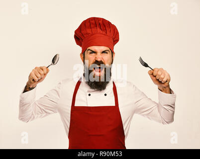 Cook with angry face in burgundy uniform shows cutlery. Chef presents kitchenware. Restaurant catering concept. Man with beard holds fork and spoon on white background. Stock Photo